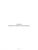 Wetlands Data Sheets & Site Photographs